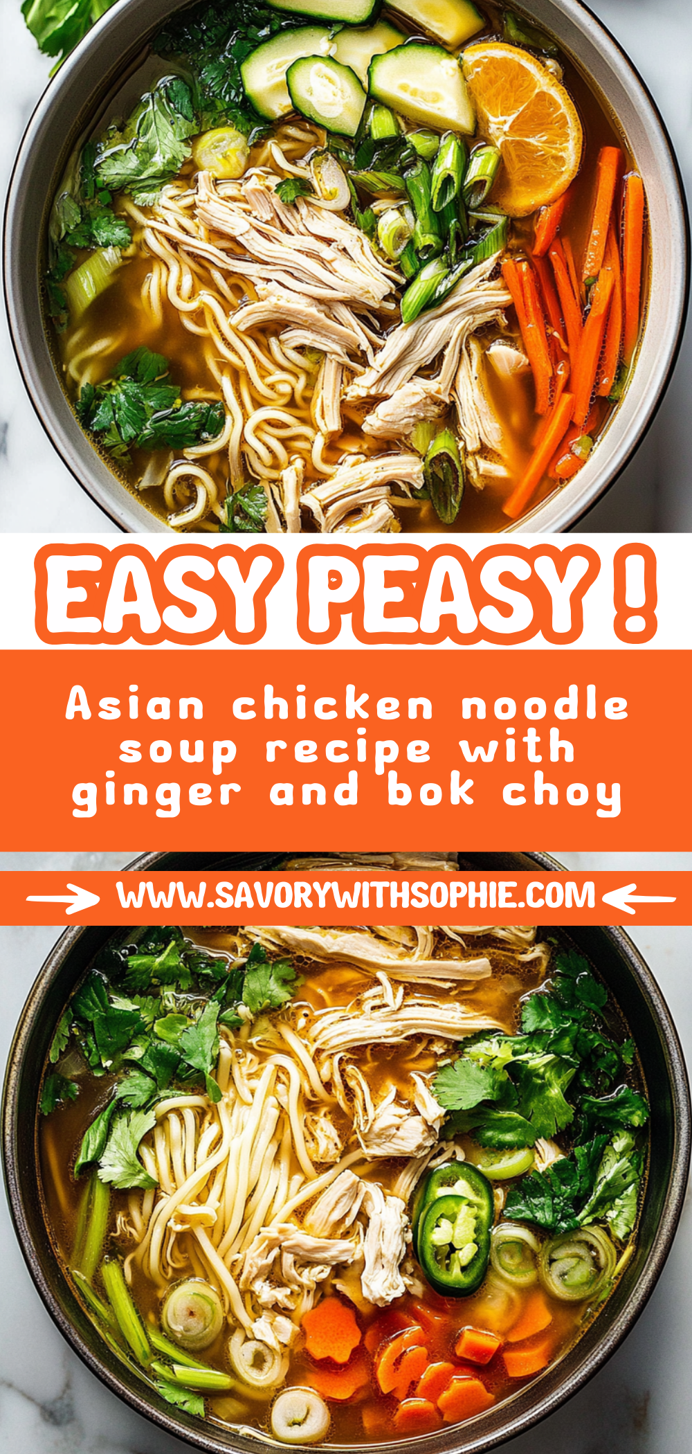 Asian chicken noodle soup recipe