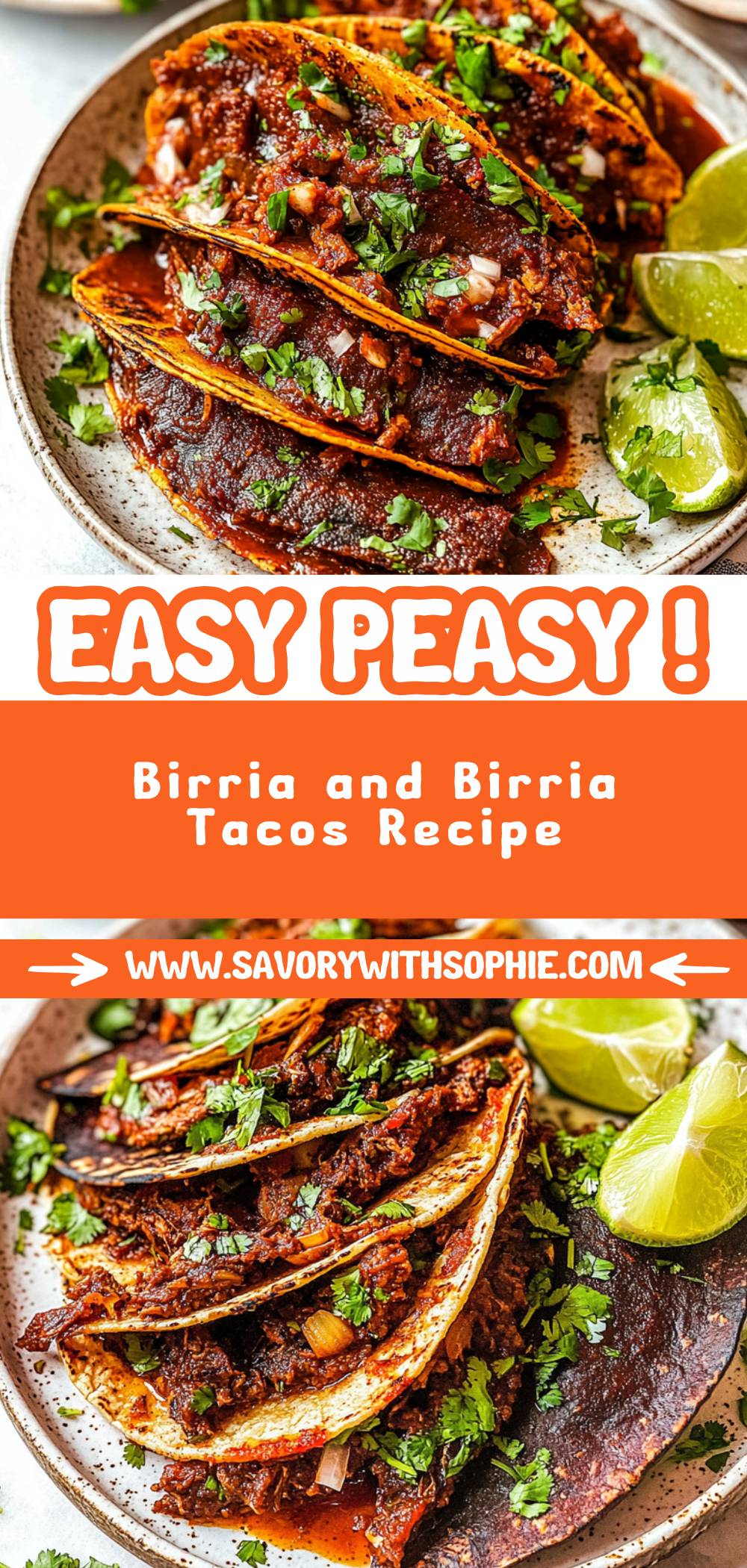 Birria and Birria Tacos Recipe