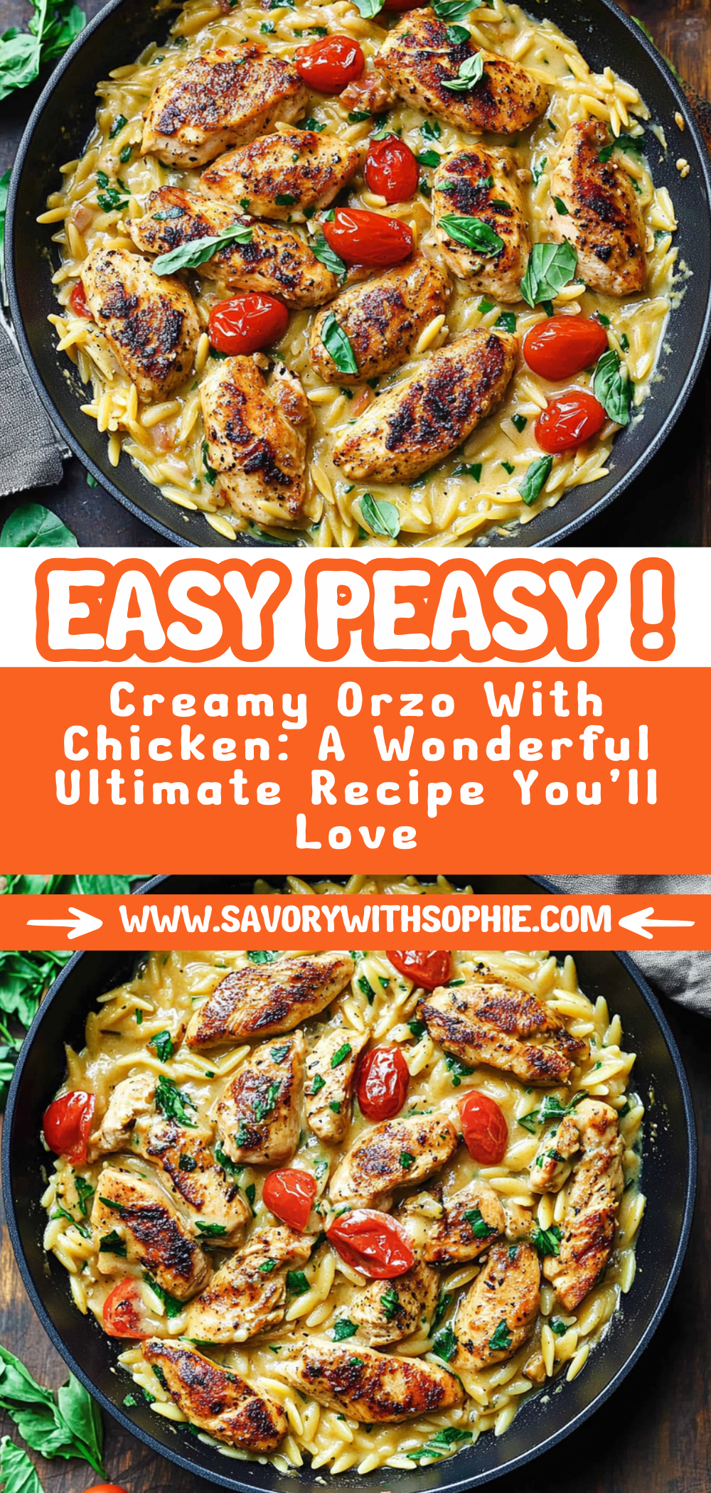 Creamy Orzo With Chicken: A Wonderful Ultimate Recipe You’ll Love