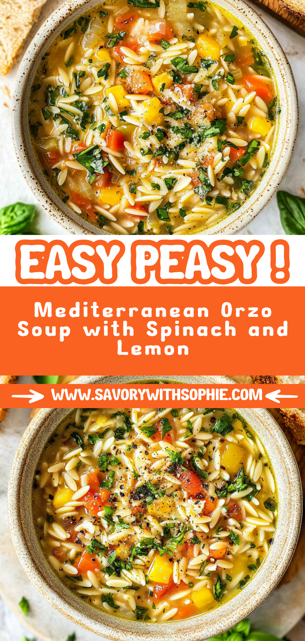Mediterranean Orzo Soup