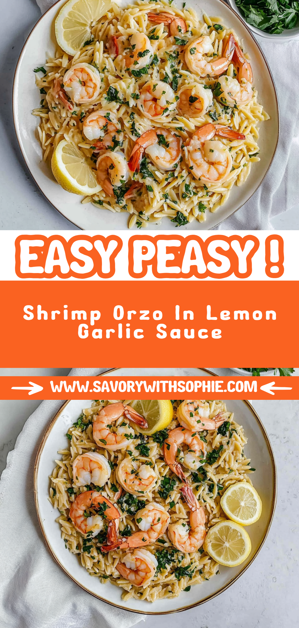Shrimp Orzo In Lemon Garlic Sauce